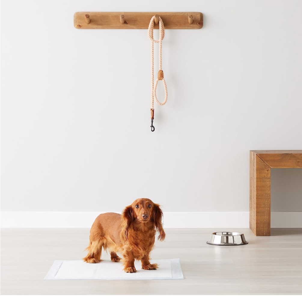 Premium Pet Training Pads | Ultra Absorbent Leakproof Puppy Pads