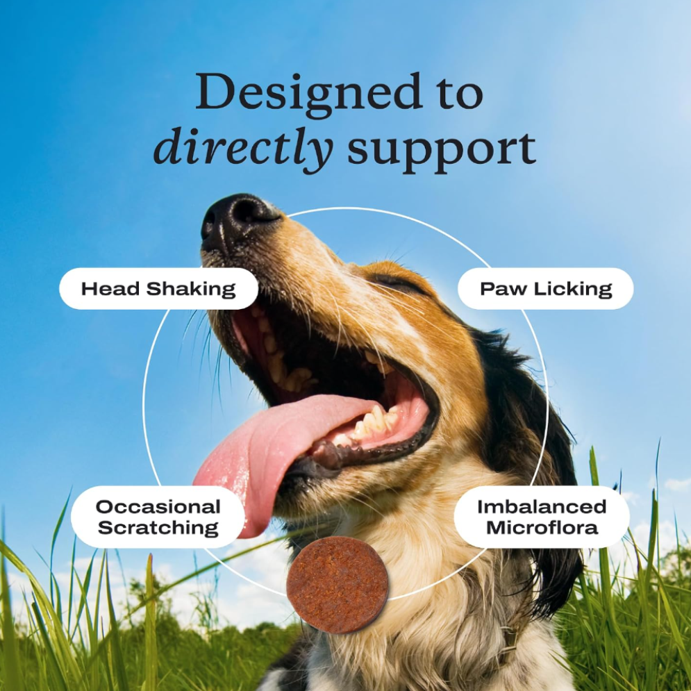 🐶 Help Your Dog Feel Better Every Day