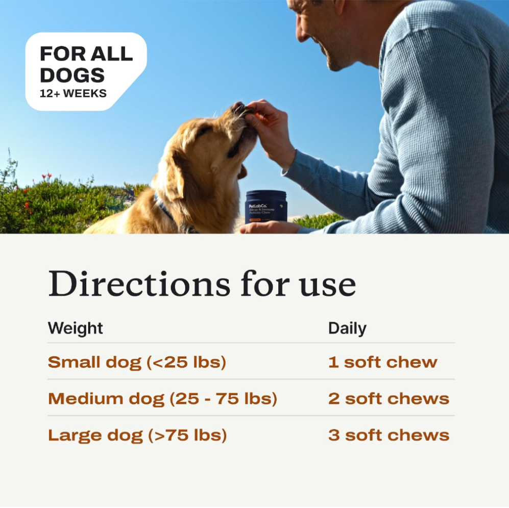 🐶 Help Your Dog Feel Better Every Day