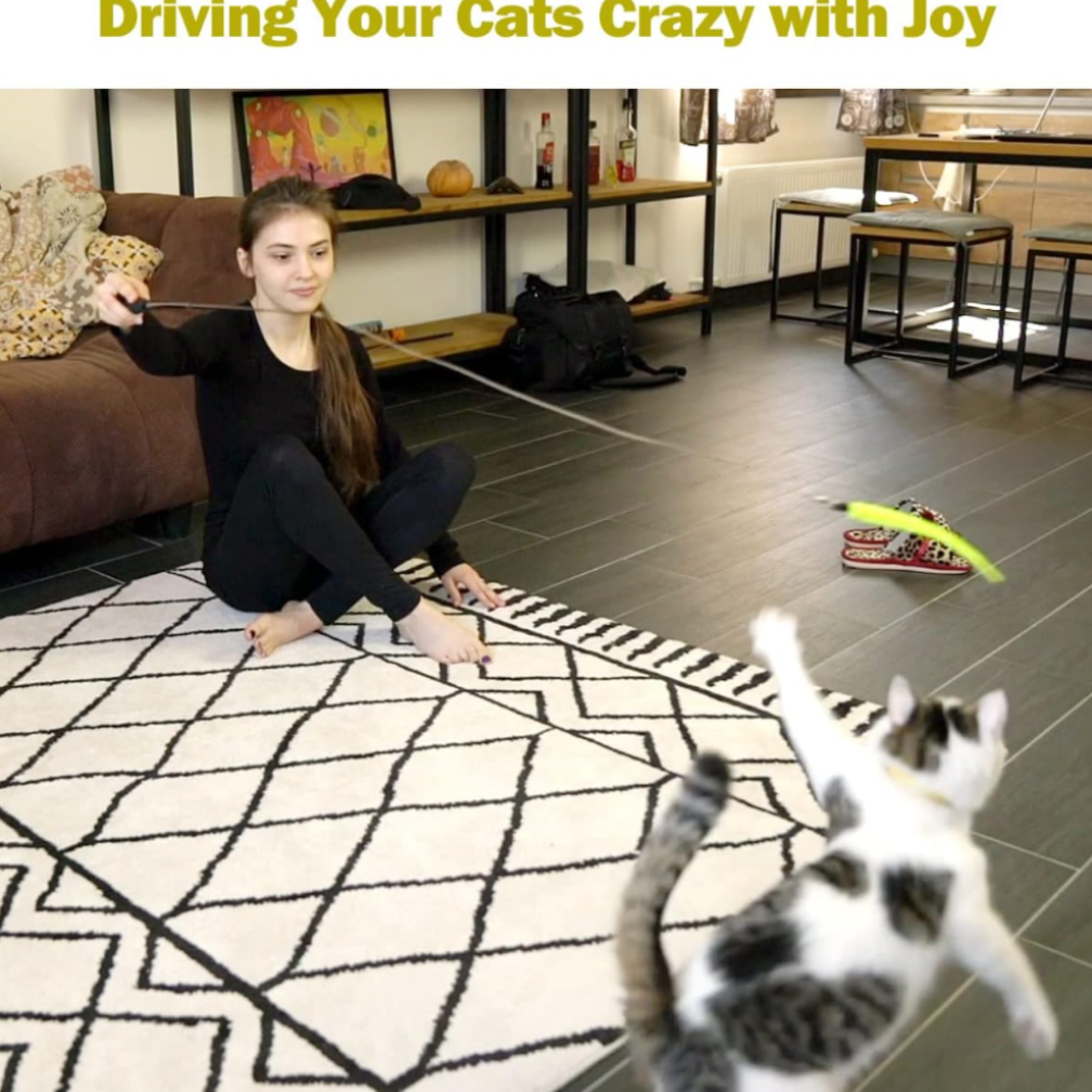 Interactive Feather Wand Toy for Cats