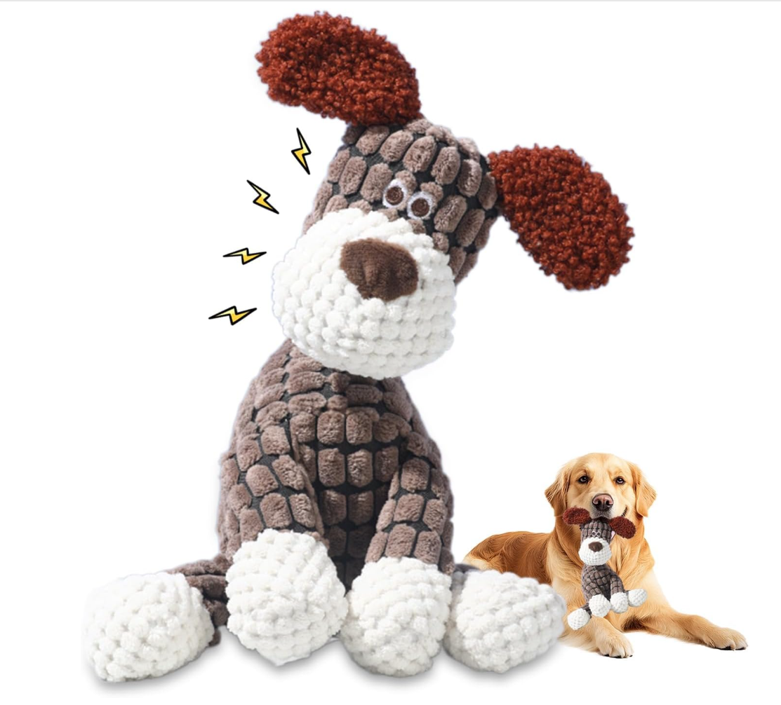 Pet Relief Companion