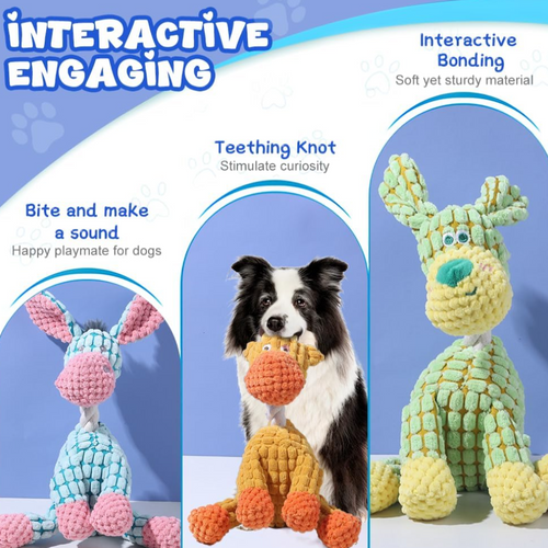 Pet Relief Companion